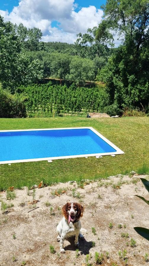Quinta Do Sanguinhal Villa Rio Maior Eksteriør billede
