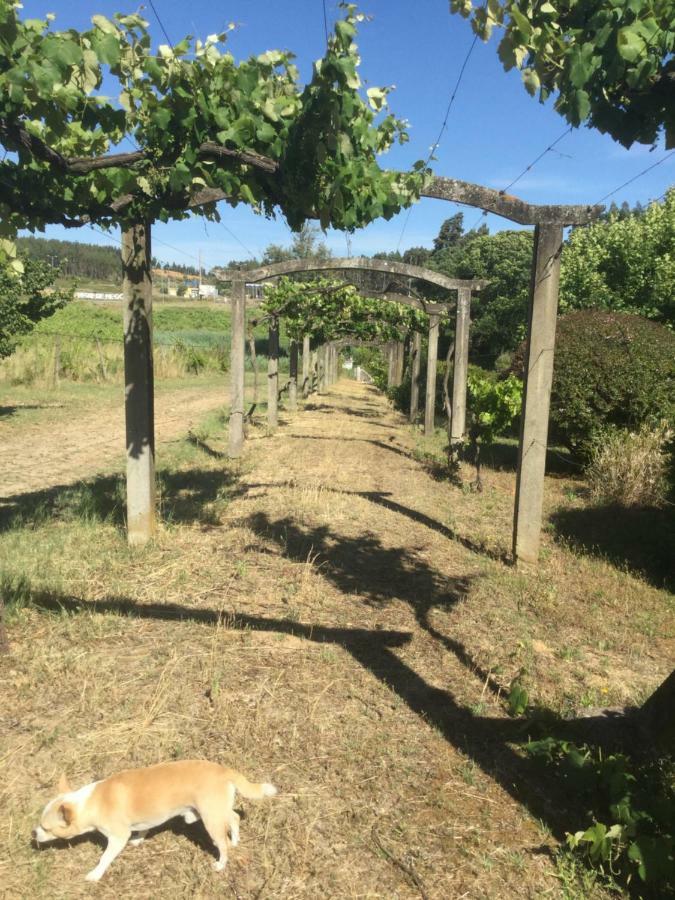 Quinta Do Sanguinhal Villa Rio Maior Eksteriør billede