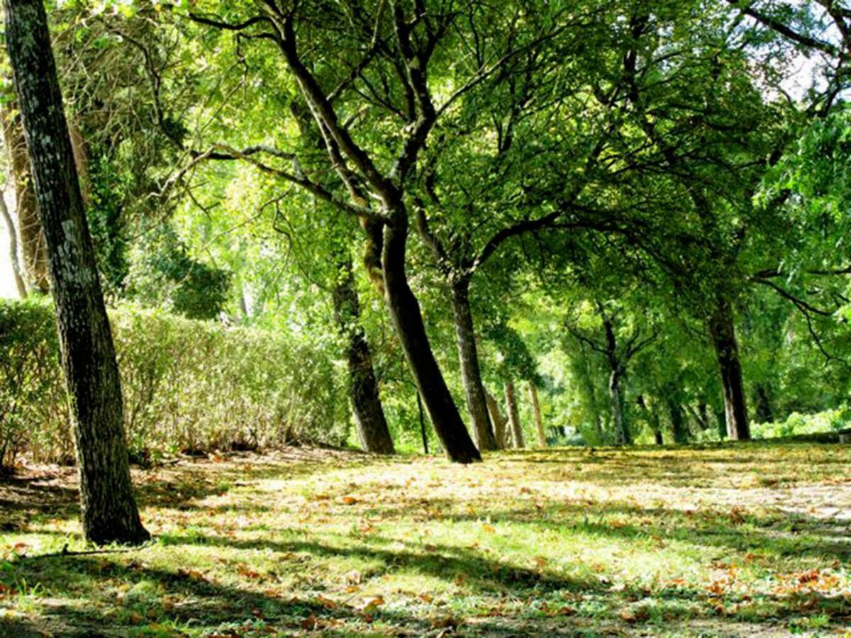 Quinta Do Sanguinhal Villa Rio Maior Eksteriør billede